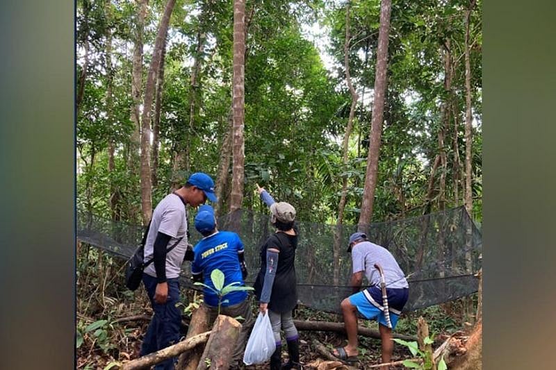 Yetuk er-xotin porno