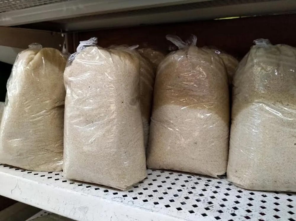 Sugar Workers Demand Clarity on 100,000-MT US Export Plan