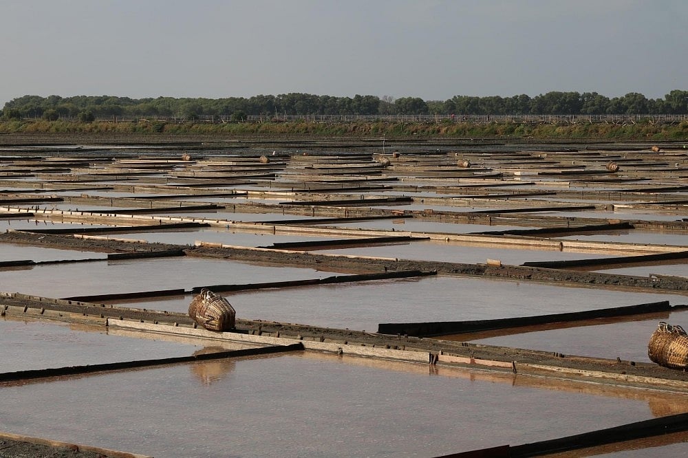 BFAR-3 eyes expansion of salt production in CL
