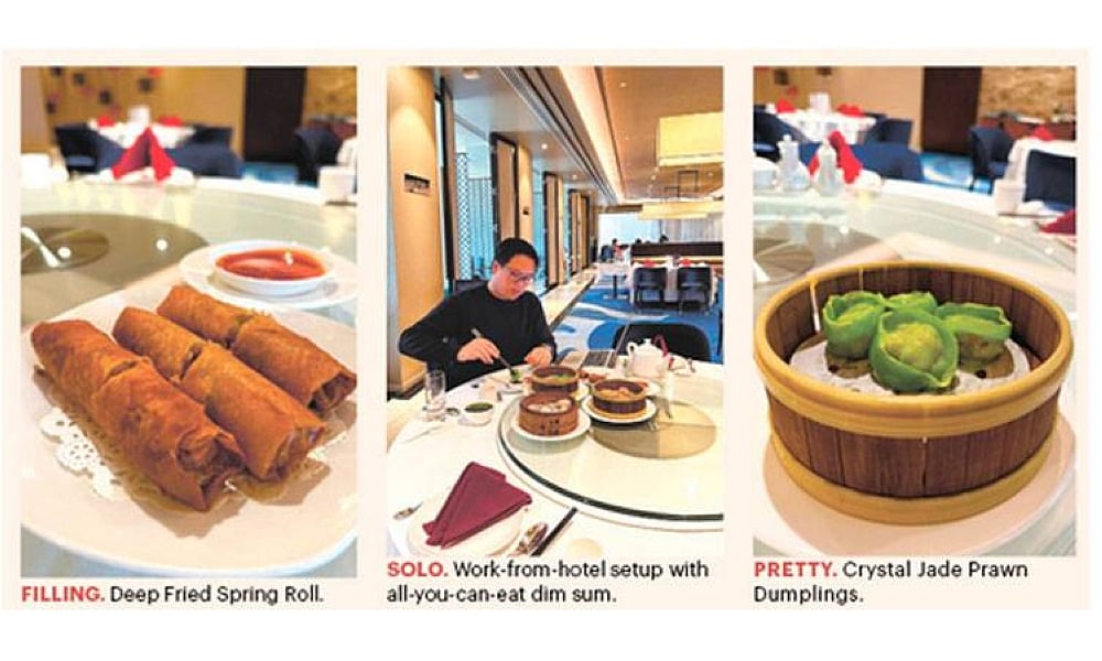 Unlimited Dim Sum Delight: How Many Dumplings Can You Conquer? | Marco ...