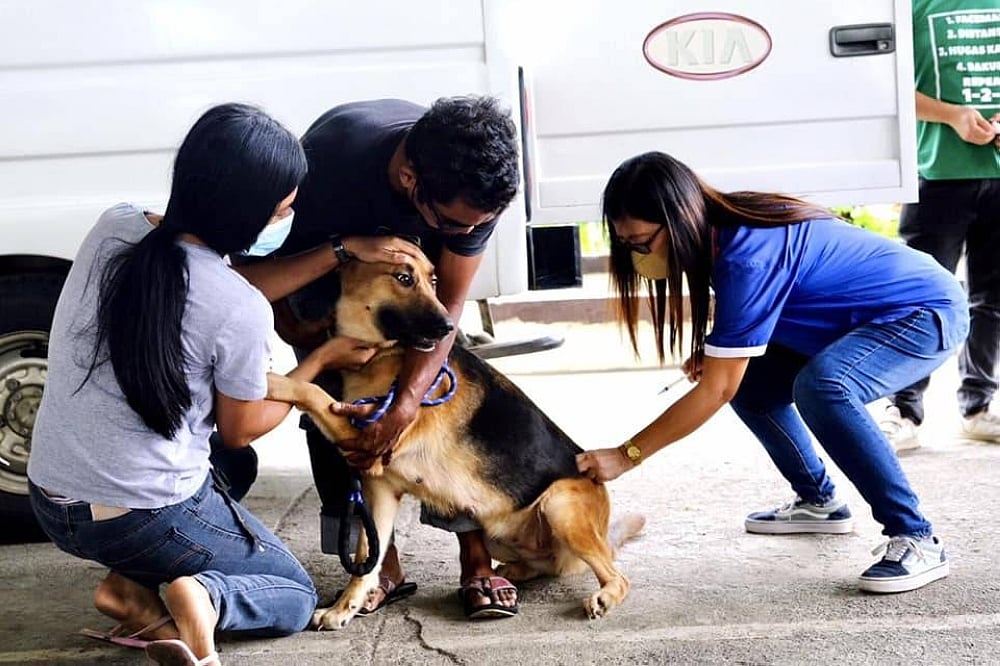 Davao City Vet announces October schedule for free castration program