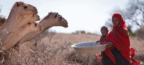 Greater Horn of Africa Faces 5th Failed Rainy Season
