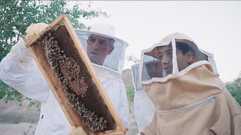 Dubai Municipality Launches Ninth Season of Hatta Honey Festival
