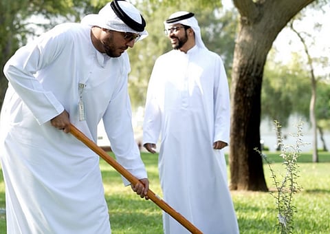 Abu Dhabi City Municipality Plant 8,000+ Ghaf Trees Across Abu Dhabi Island and the Mainland in 2024