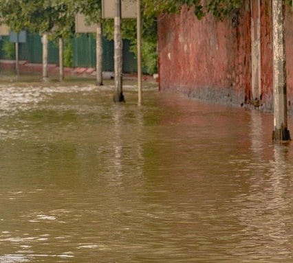 India’s Sustainability Crisis: A Systemic Failure of Governance