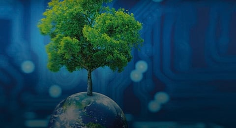 From Oil to Renewables: The Middle East’s Green Energy Pivot