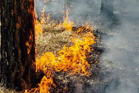 Extreme Heat: A Global Public Health Emergency Demanding Urgent Action