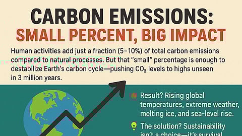 Carbon Emissions: The Human Fingerprint on Climate Change