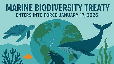 Marine Biodiversity Treaty to Enter into Force in January 2026