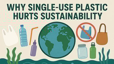 Beyond Plastic: Charting a Sustainable Future Without Single-Use Plastics