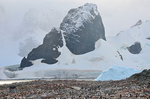 Countdown Begins: UAE National Joins Landmark Antarctic Expedition for Climate Action