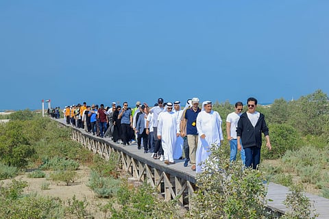DEWA Strengthens Biodiversity with Mangrove Restoration at Jebel Ali