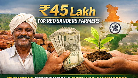 India Rewards Conservation: Cash Disbursed to Red Sanders Farmers, Strengthening Livelihoods and Biodiversity