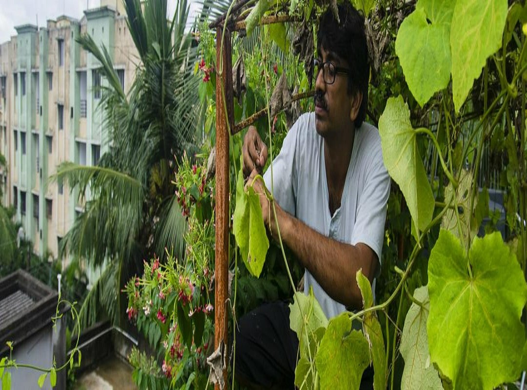 UNHabitat Launches its World Cities Report 2022