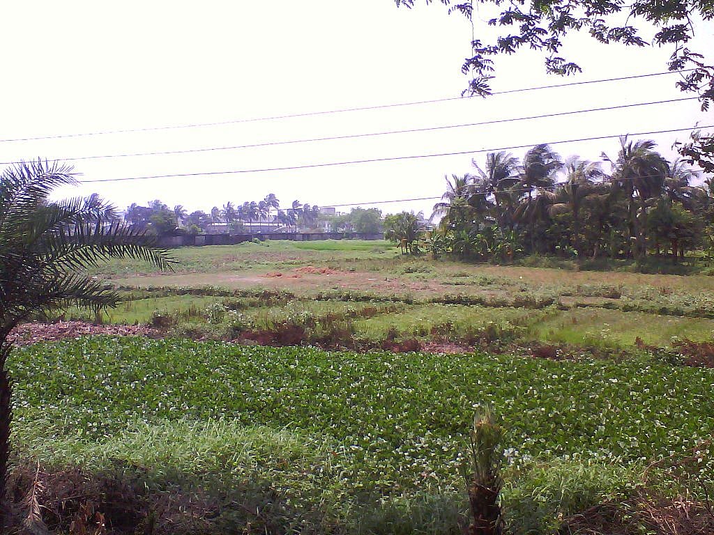 Land Acquisition