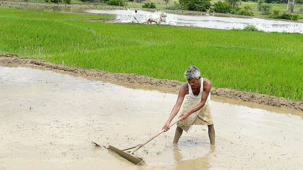 Agriculture in India (NOAH SEELAM/AFP/Getty Images)