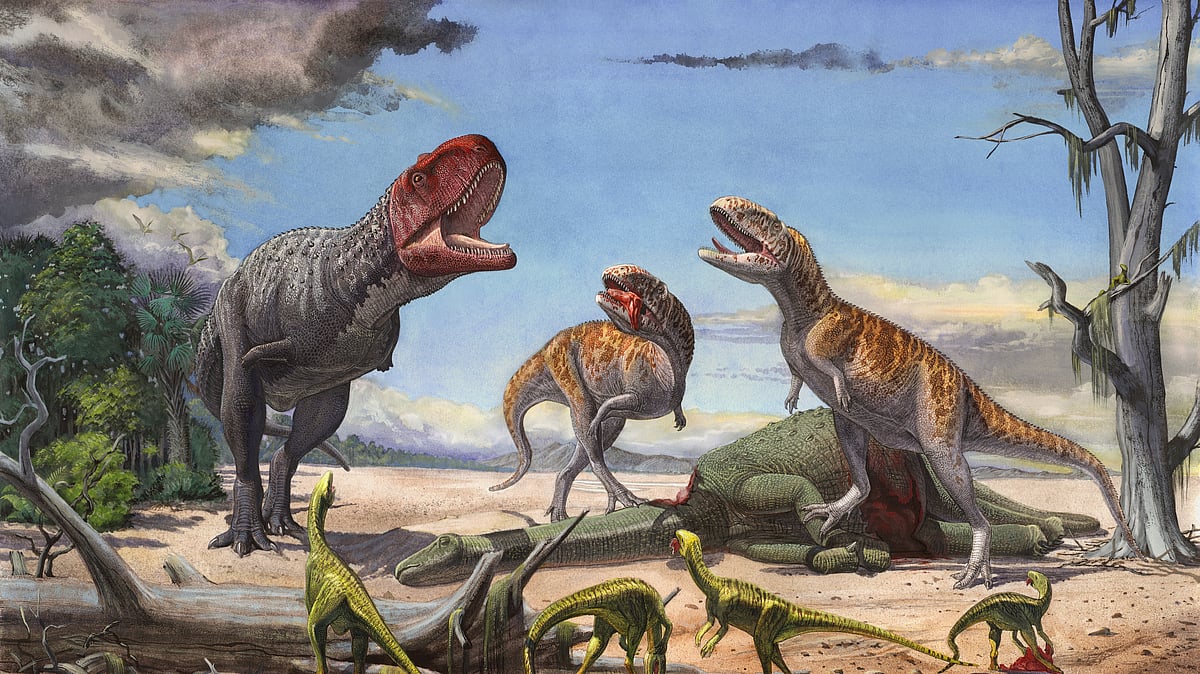 

Two Indosuchus, Rajasaurus and Indosaurus (Photo Courtesy: Sergey Krasovskiy).