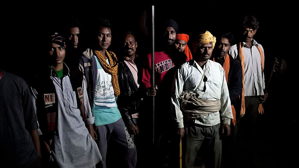 Cow protection (Allison Joyce/Getty Images)