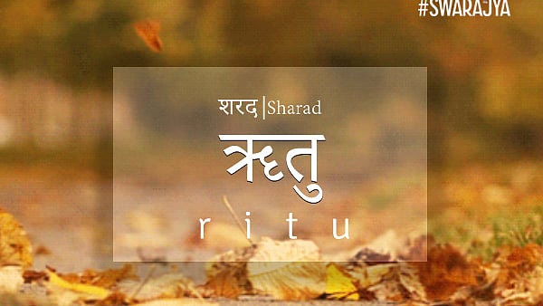 Sharad ritu.