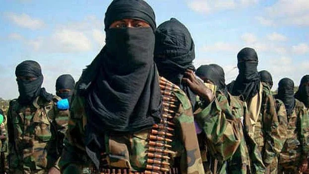 Hizbul Mujahideen militants
