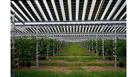 Agrivoltaics