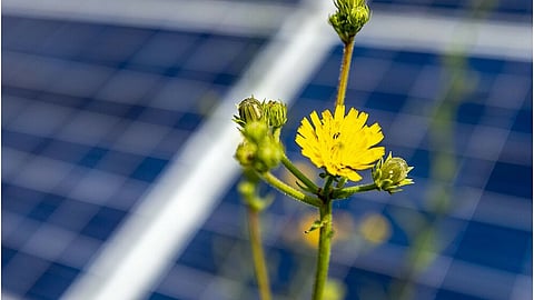 Solar Power 