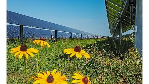 Solar Power Plant, Sustainability and Solar
