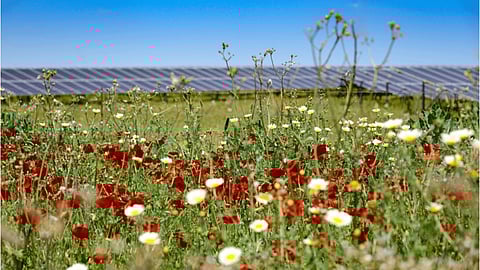 Solar Farm