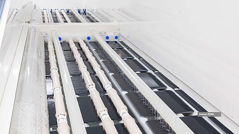 Inline Edge Isolation and Glass Etching: This RENA tool supports single-side HF-based removal of BSG and PSG layers in TOPCon processing, using controlled chemistry and water capping to protect the front surface. (Source: RENA Technologies GmbH)