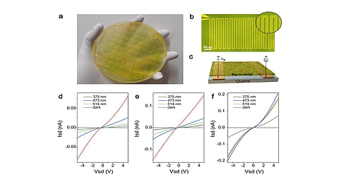 (a) 4-inch wafer with fabricated devices; (b) electrode pattern detail; (c) device schematic; (d–f) current–voltage characteristics under different illumination wavelengths. (Photo Credit: Mastria et al., Advanced Science)