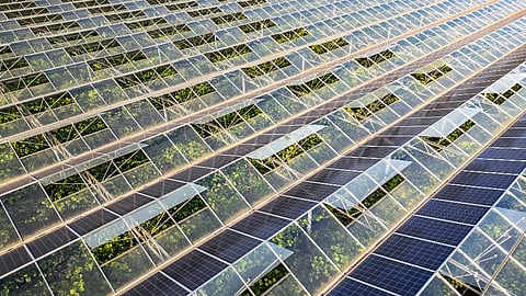 Solar Greenhouse
