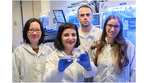 The ultrathin perovskite solar cells combine semi-transparency with photovoltaic performance for building-integrated applications. 
