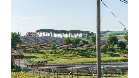 Solar projects, agrivoltaics