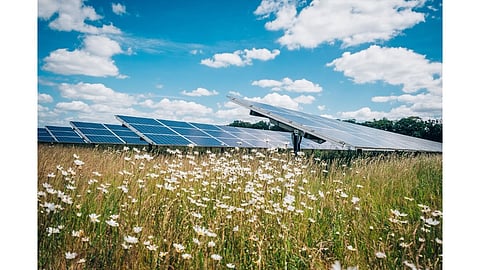 Solar Project