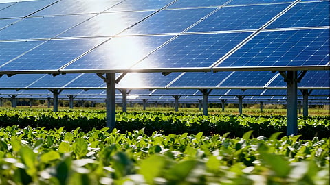 Solar panels, Agrivoltaics