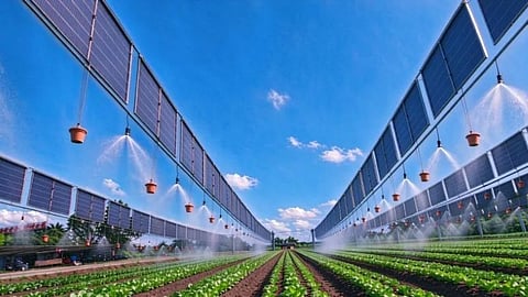 LIANS Technology Launches Vertical Suspended HJT PV Project in Hainan