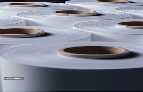 New market leader: Jolywood is the new leader of the pack. It has overtaken Cybrid, which stood in our previous edition at the top in terms of solar backsheet shipments.