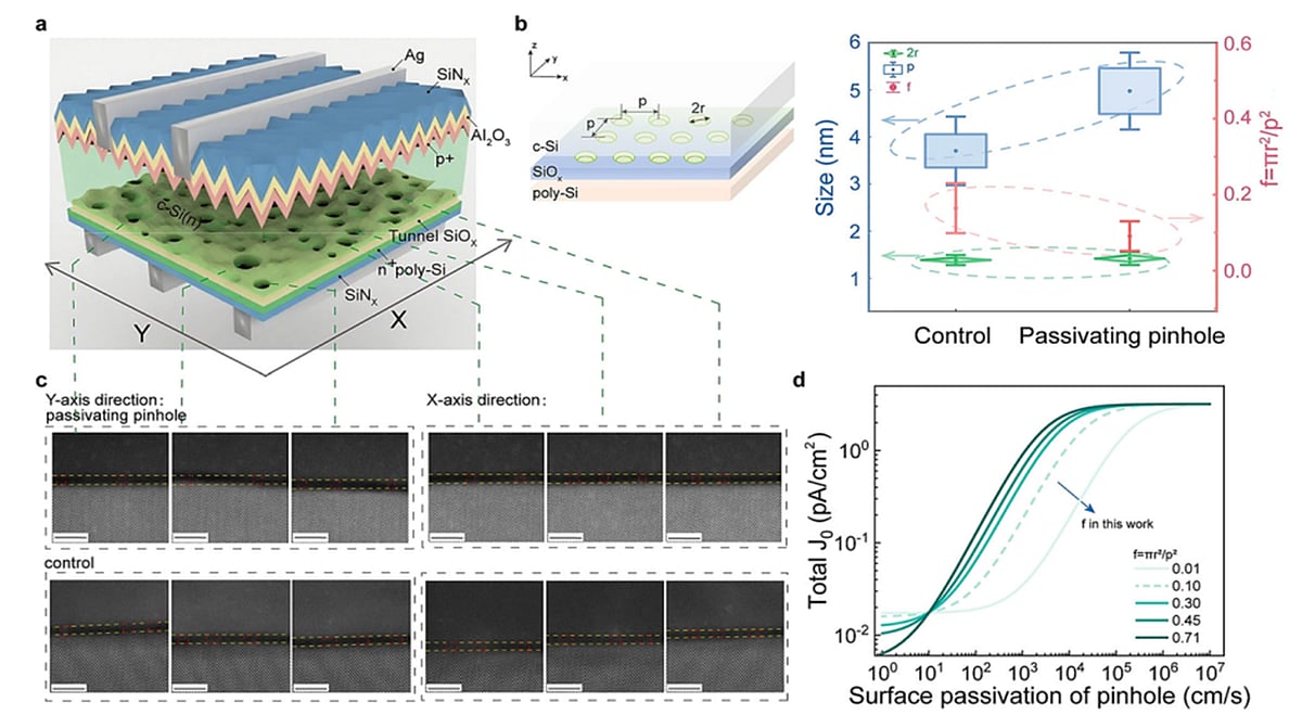 Revisiting Pinhole Behavior In TOPCon Interfaces