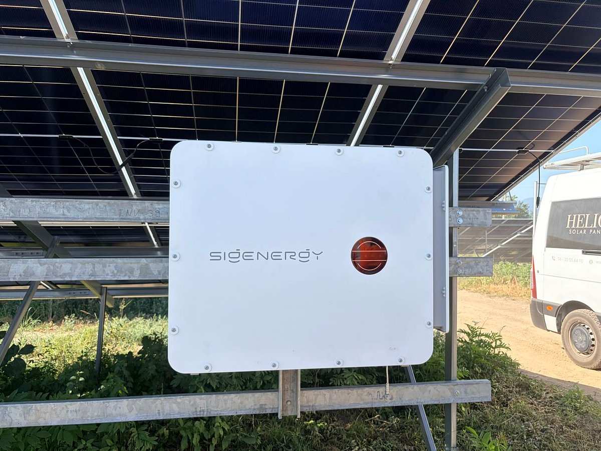 Engineering Excellence in Agrivoltaics: Sigenergy and Partners ...