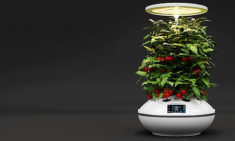 Grow Fresh Veggies At Home with Agro2o IoT Smart Garden
