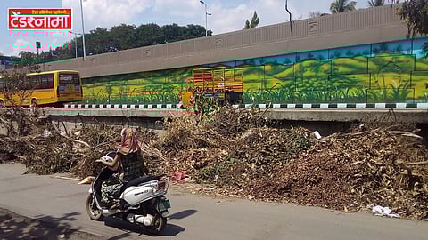 Green West Processing Plant