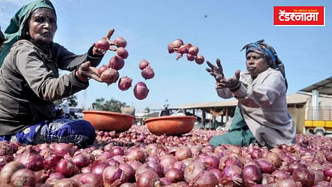 onion nashik