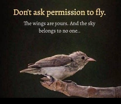 பறப்பதற்கு  அனுமதி கேட்காதீர்கள் : சசிதரூர் பரபரப்பு பதிவு 