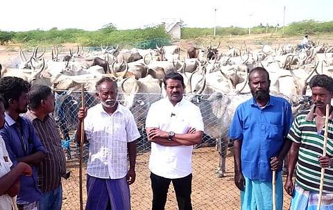 Naam Tamilar Seeman Speech at Aadu Maadu Maanadu