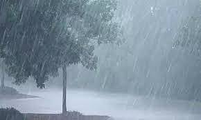 Indian Meteorological Department(IMD) Rainfall Data 2025 Report in Tamil