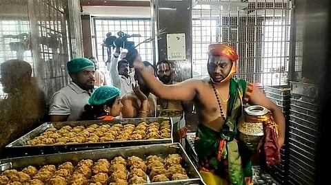 Lord Sri Venkateswaras Prasadam Tirupati Laddu in 310th Anniversary 2025