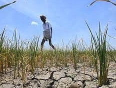 Cauvery Water Issue on Kadaimadai Farming Land in Dharmapuri