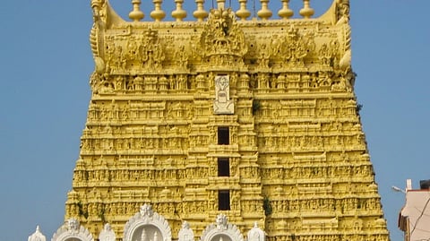 Aadi Thabasu 2025 Celebration Of Arulmigu Sankaranarayanar Temple in Sankarankovil
