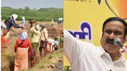 PMK Leader Anbumani Slams DMK Government on Mahatma Gandhi National Rural Employment Guarantee Scheme Scam