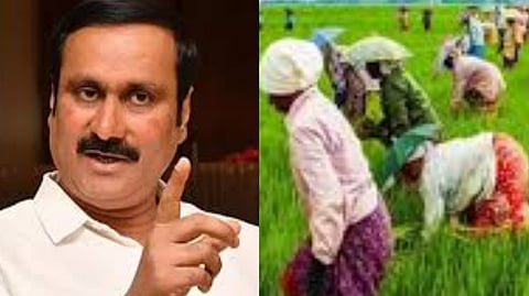 Anbumani Ramadoss Condemns DMK Government on Agriculture Income 22nd Rank Of Tamil Nadu